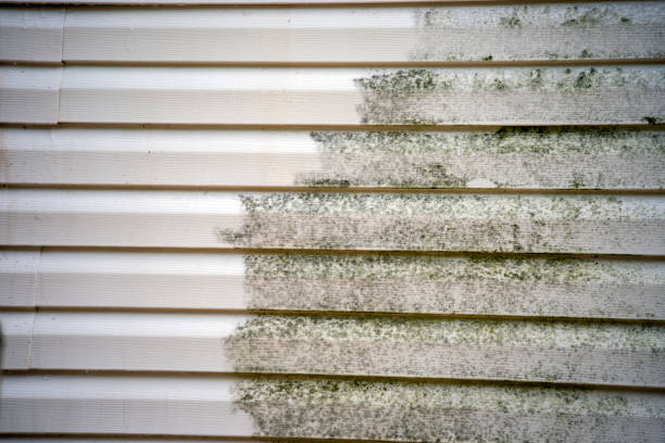 Siding for Commercial Buildings in Salem, NC