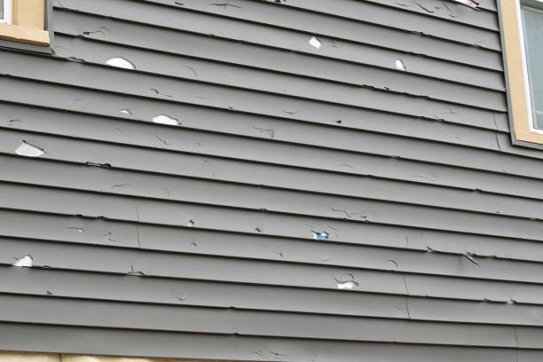 Best Historical Building Siding Restoration  in Salem, NC